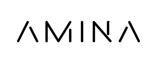 AMINA Bank logo